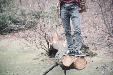 man wearing blue jeans on tree trunk