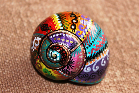closeup photo of painted shell