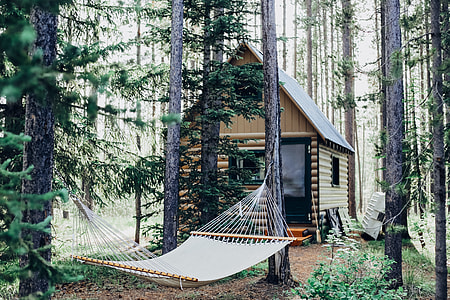 beige wooden cabin house center field in forest near white hammock at daytime