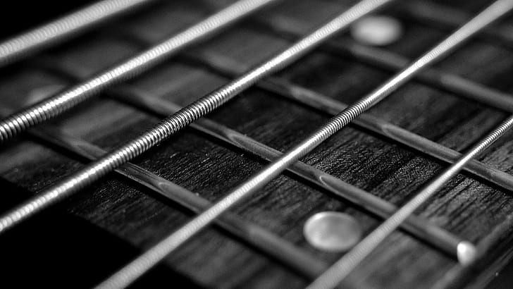 grayscale photo of guitar strings