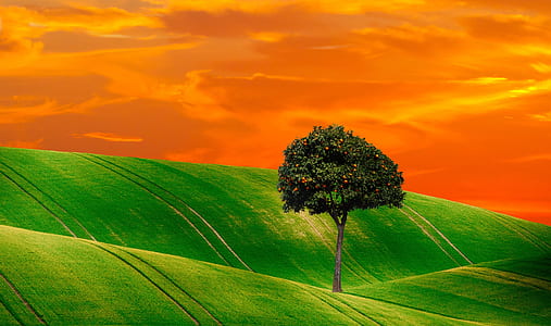 green field and tree painting