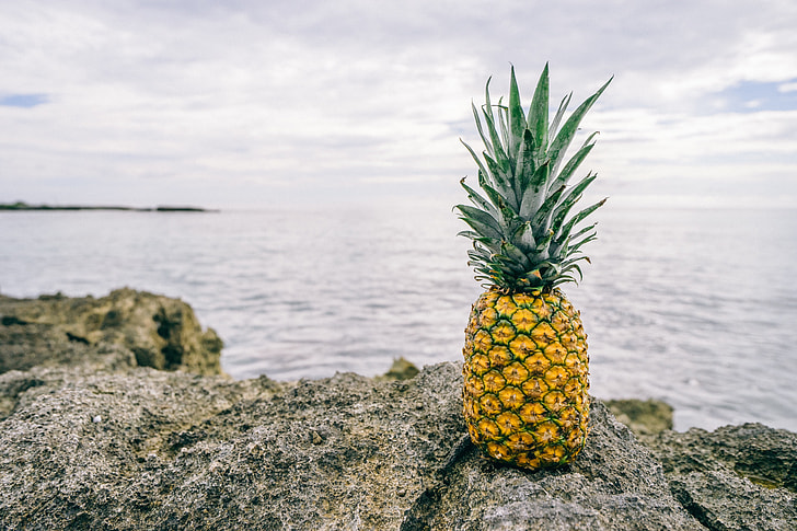 pineapple fruit on gray stone near body of water during daytime