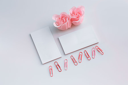Little sheets of paper with pink paper clips