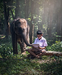 boy in white button-up t-shirt beside brown elephant