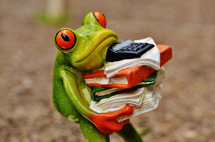 frog carrying books ceramic figurine