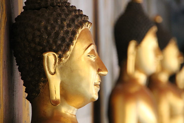 focus photography of Gautama figurine