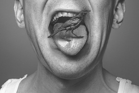 man with bird on his tongue art