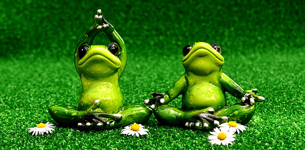 two frogs meditating illustration