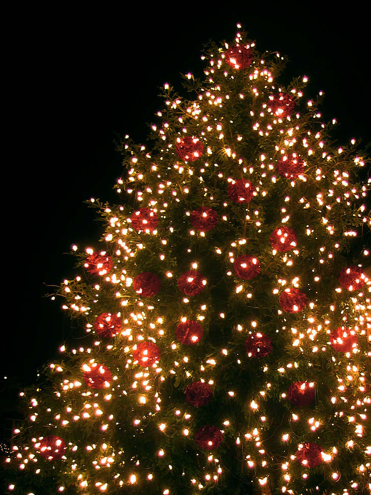 turned on yellow string lights on green Christmas tree