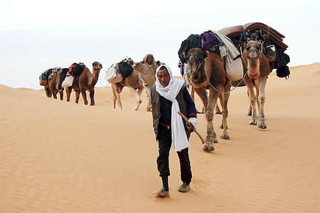 man wears black jacket holding camel on the sand