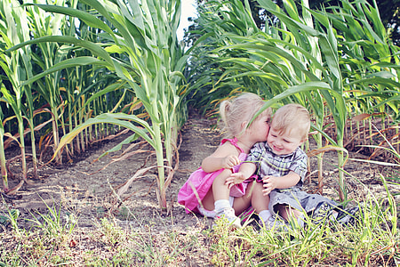two toddler's sitting near corn field during day time