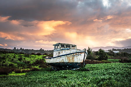 white and black boat on grass during day