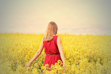 woman wearing red sleeveless dress walking at field of yellow flower