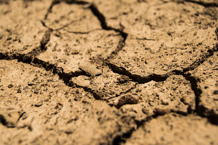 cracked dry soil closeup photography