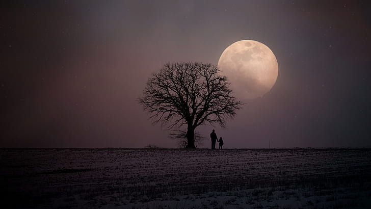 father and child standing beside baretree looking moon