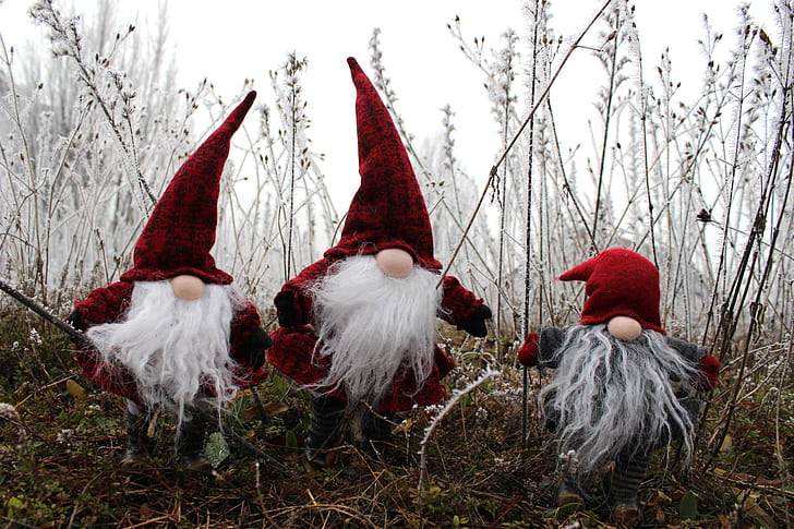 three red gnomes on grass field