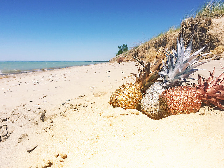 pineapples on seashore during daytime