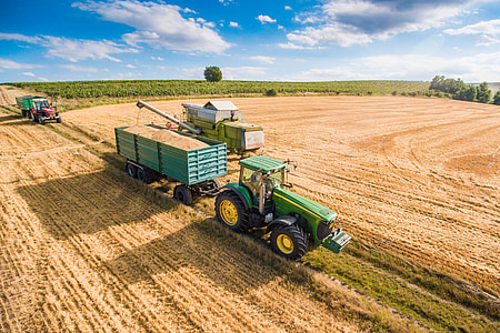 Combine Harvester Pouring Grain into Trailer Towed by Tractor