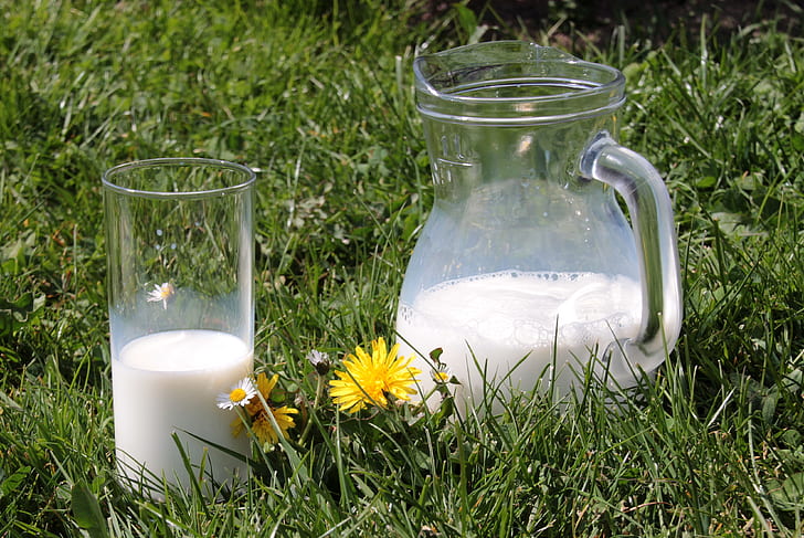 clear glass pitcher and drinking glass on grass field