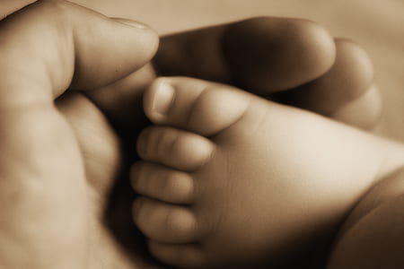 person holding baby foot