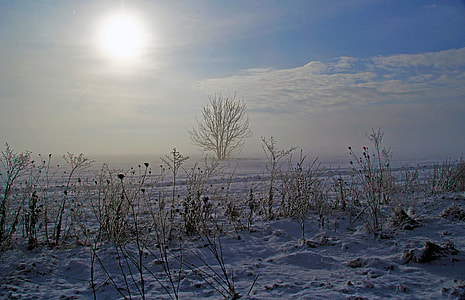 landscape photo of a snowy field