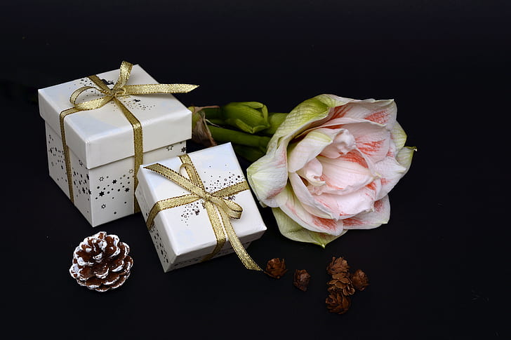 white, pink, and gold-colored gift boxes and flower