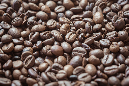 Coffee Beans Close Up