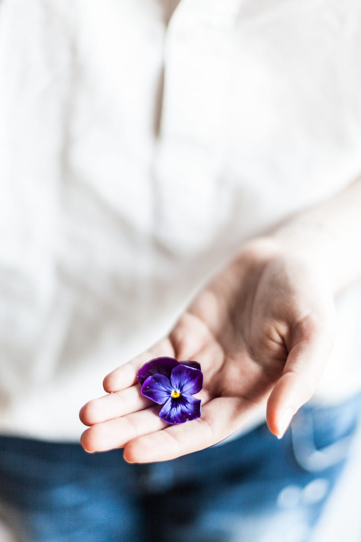 person wearing white shirt holding purple pansy flower