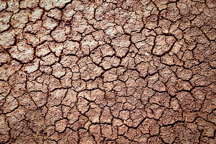 cracked dried soil photo