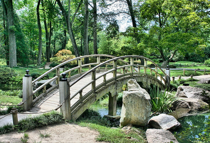 gray wooden bridge over creek in forest during daytime