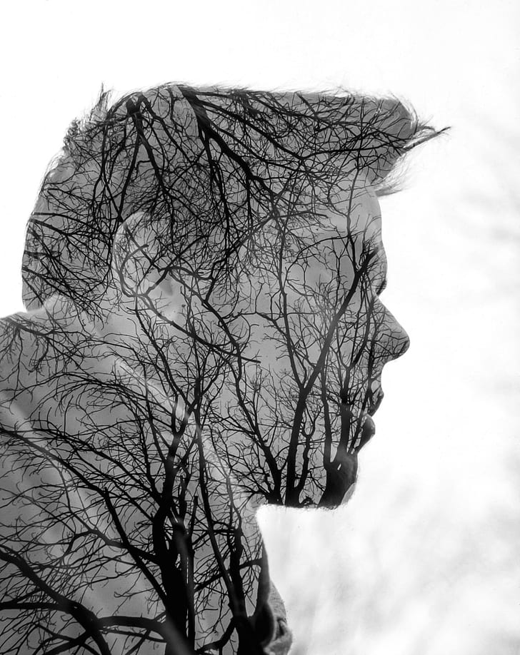 bare trees forming face of a human grayscale art