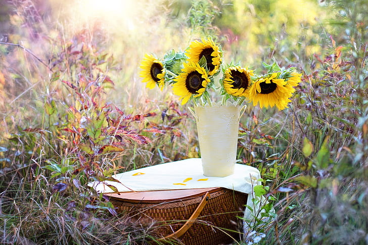 Sunflower on white ceramic flower vase