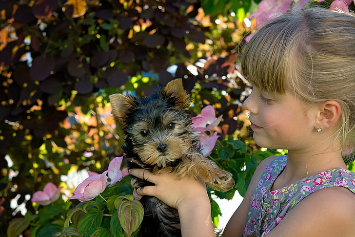 girl holding a black and tan Yorkshire terrier puppy
