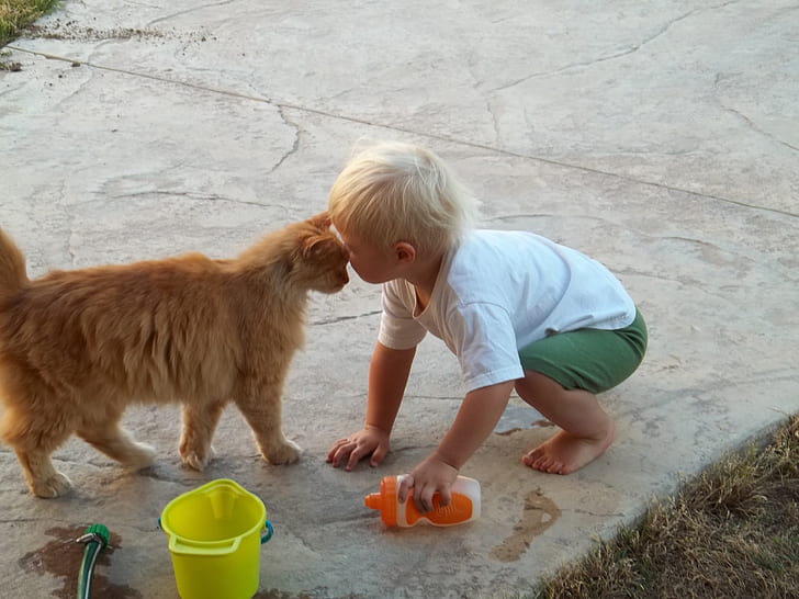 toddler and orange cat standing side-by-side
