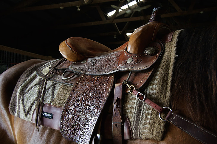 brown leather horse saddle on the back of the horse