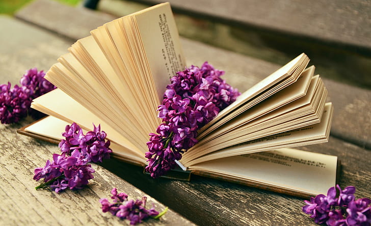 photo of purple petaled flowers on opened book page