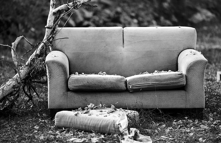 grayscale photography of fabric loveseat near tree branch