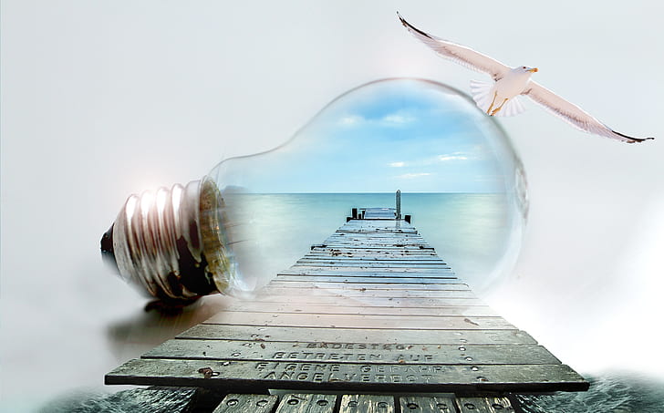 clear light bulb and gray wooden ocean dock illustration