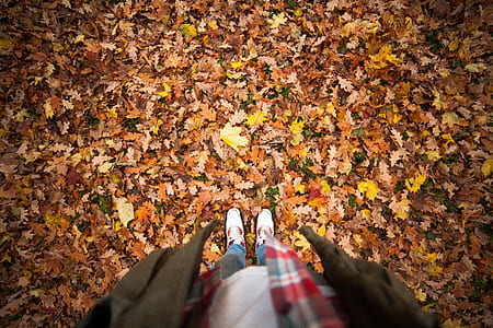 Person Standing on a Ground With Dry Leaves