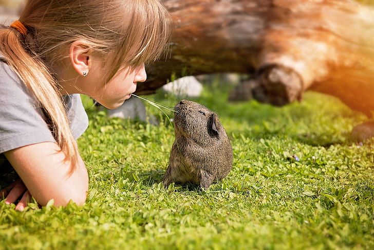 girl facing in front of rodent on grass field