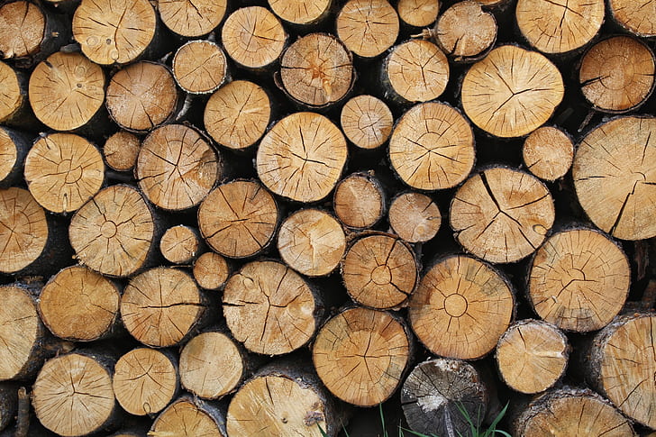 pile of brown firewoods