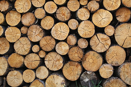 pile of brown firewoods