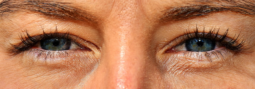 close-up portrait photo of human eyes