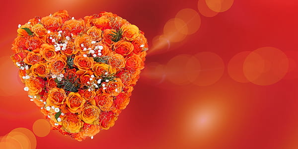 close-up photo of orange flower bouquet