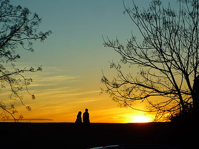 silhouette photography of man and woman between trees