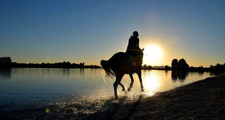 silhouette photography of person riding horse on shore