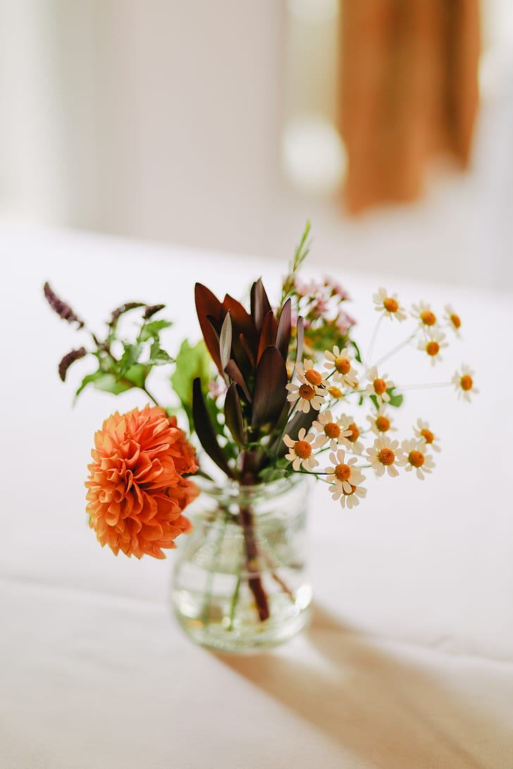 orange dahlia flower on table