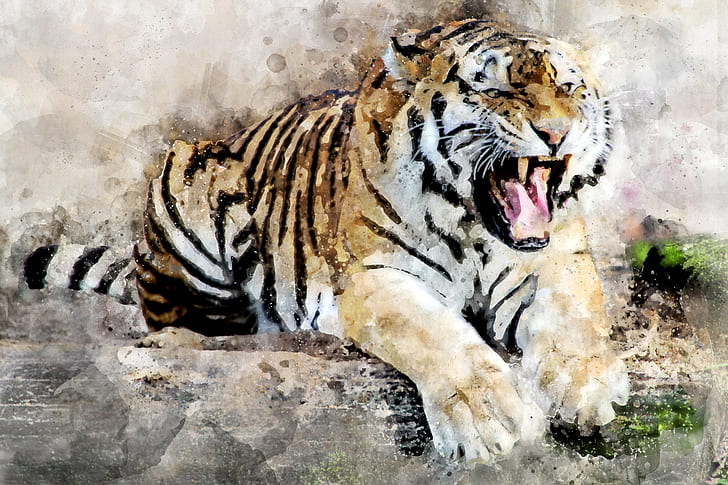 white and brown painting of tiger