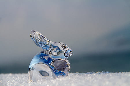 close up photography of crystal rabbit ornament