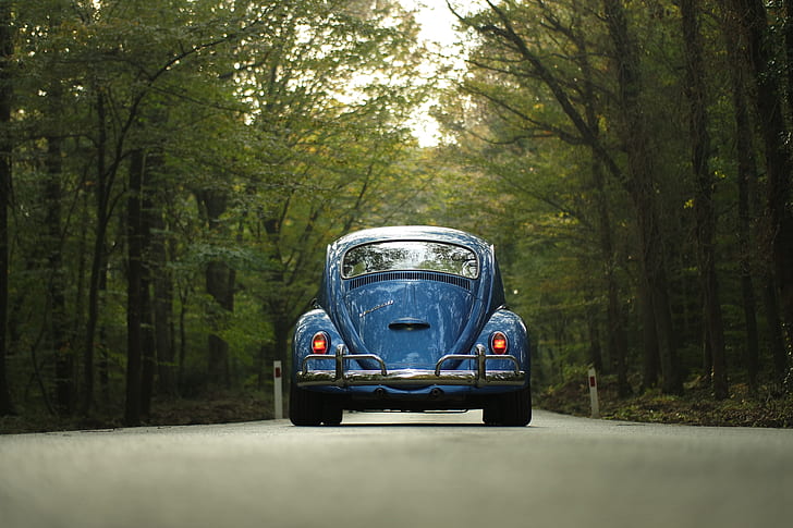 classic blue Volkswagen Beetle coupe on concrete road between trees